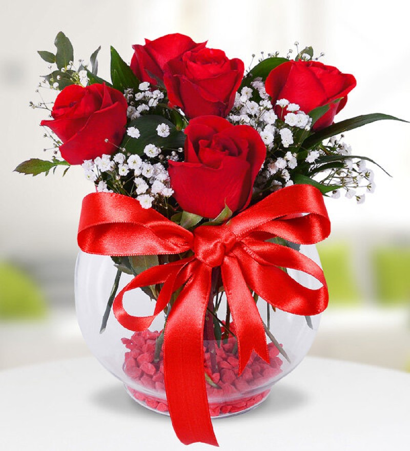 Akvaryumda kırmızı güller 5 adet