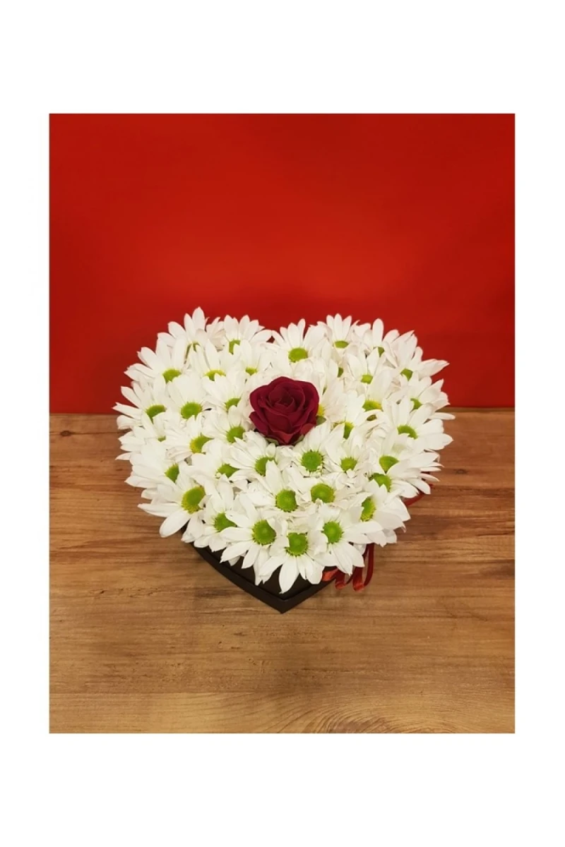 Kalp kutuda papatyalar