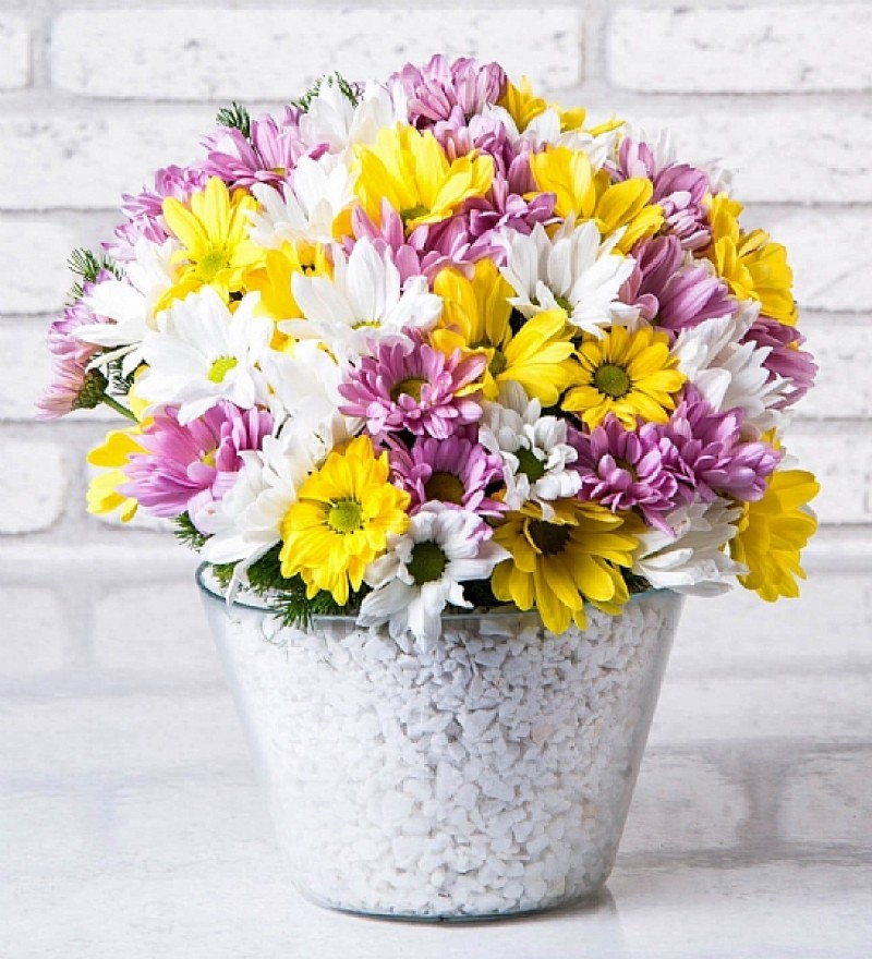 Cam Vazoda Renkli papatyalar