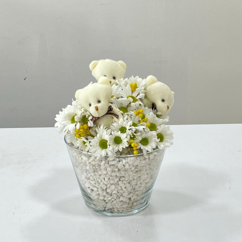 Konikte Papatya ve ayıcık