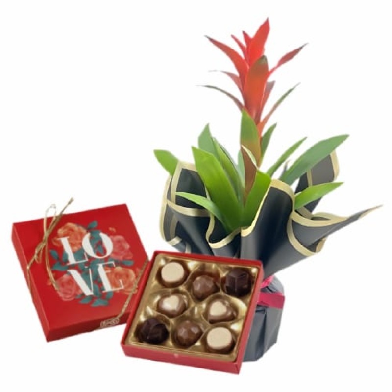 Kuzmanya ve love çikolata