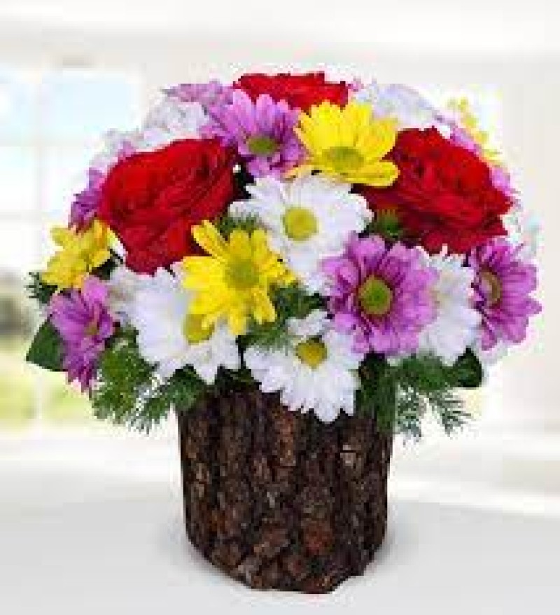 Kütükte Renkli Papatya ve Kırmızı Güller