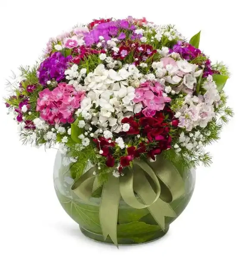 Akvaryumda Hüsnüyusuf