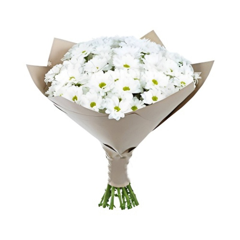 Papatyanın Zerafeti