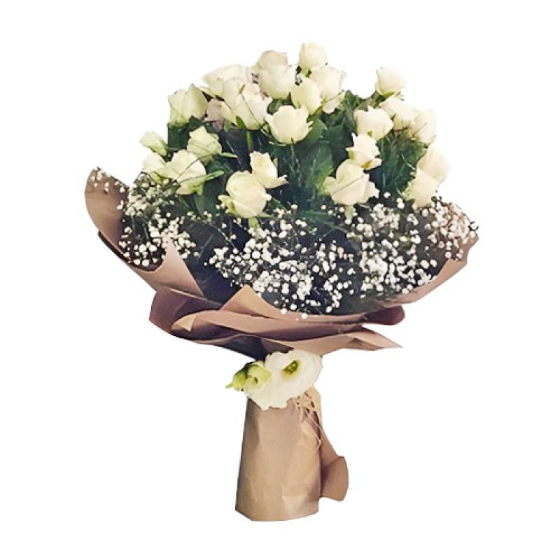 Beyaz Güller ve Cipsolar