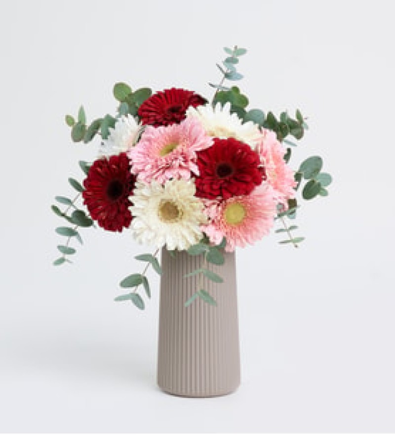 BEJ VAZODA RENKLİ GERBERA BAHÇESİ