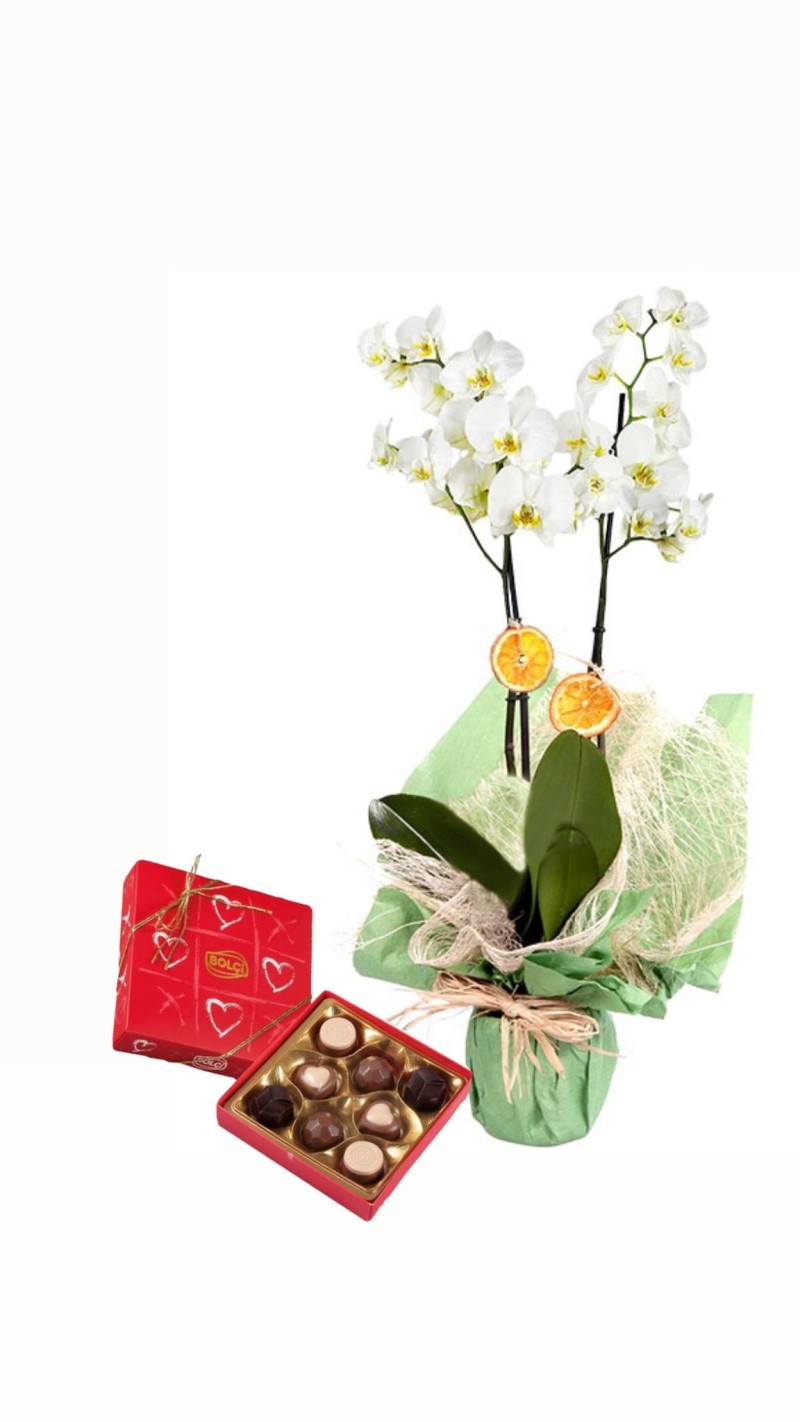 Orkide ve Love çikolata