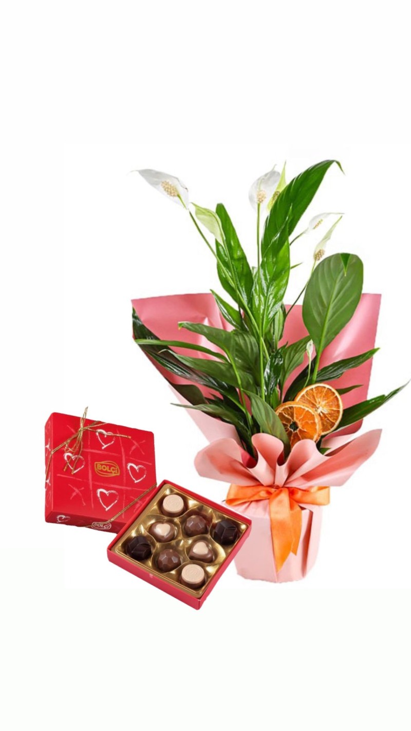 Spatfilyum ve Çikolata