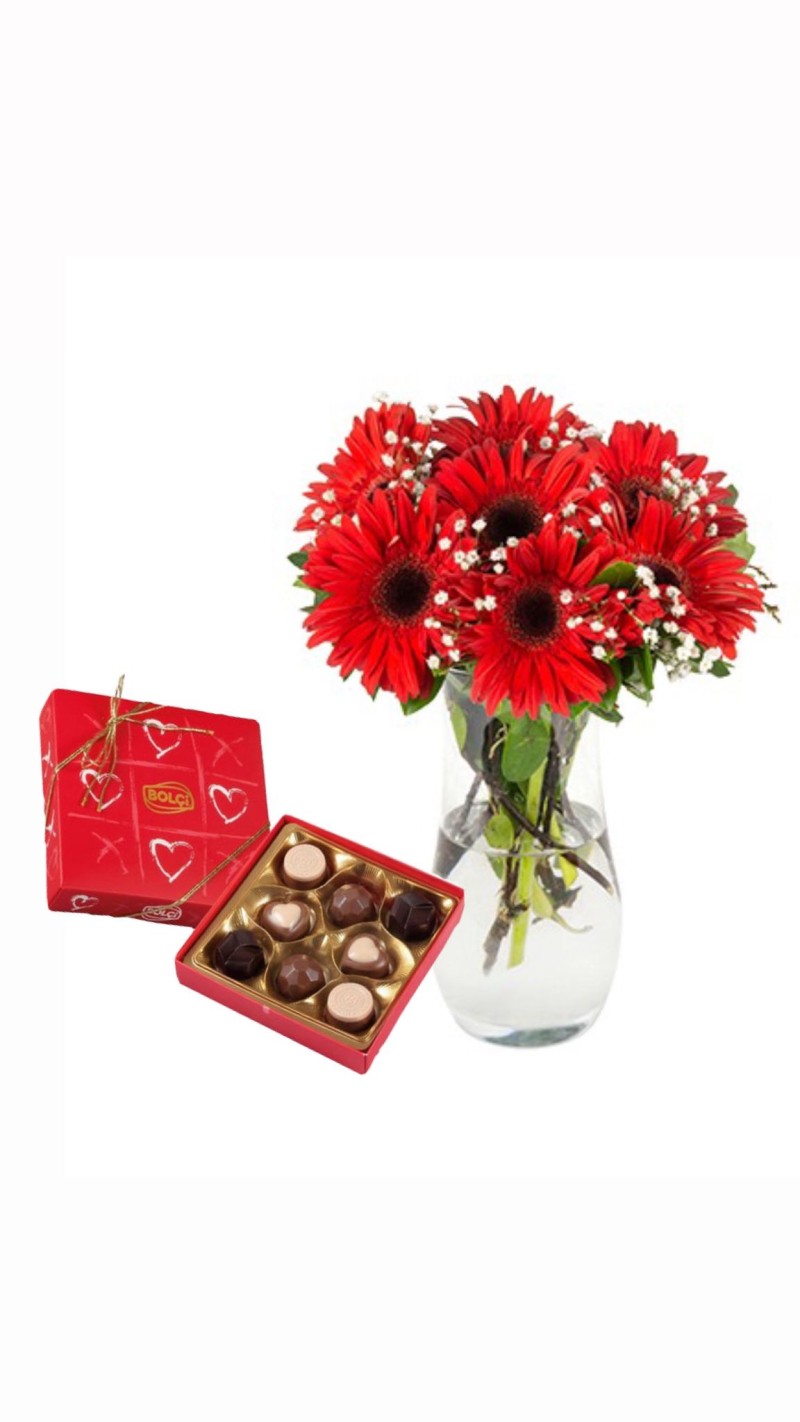 Kırmızı Gerbera ve Love Çikolata