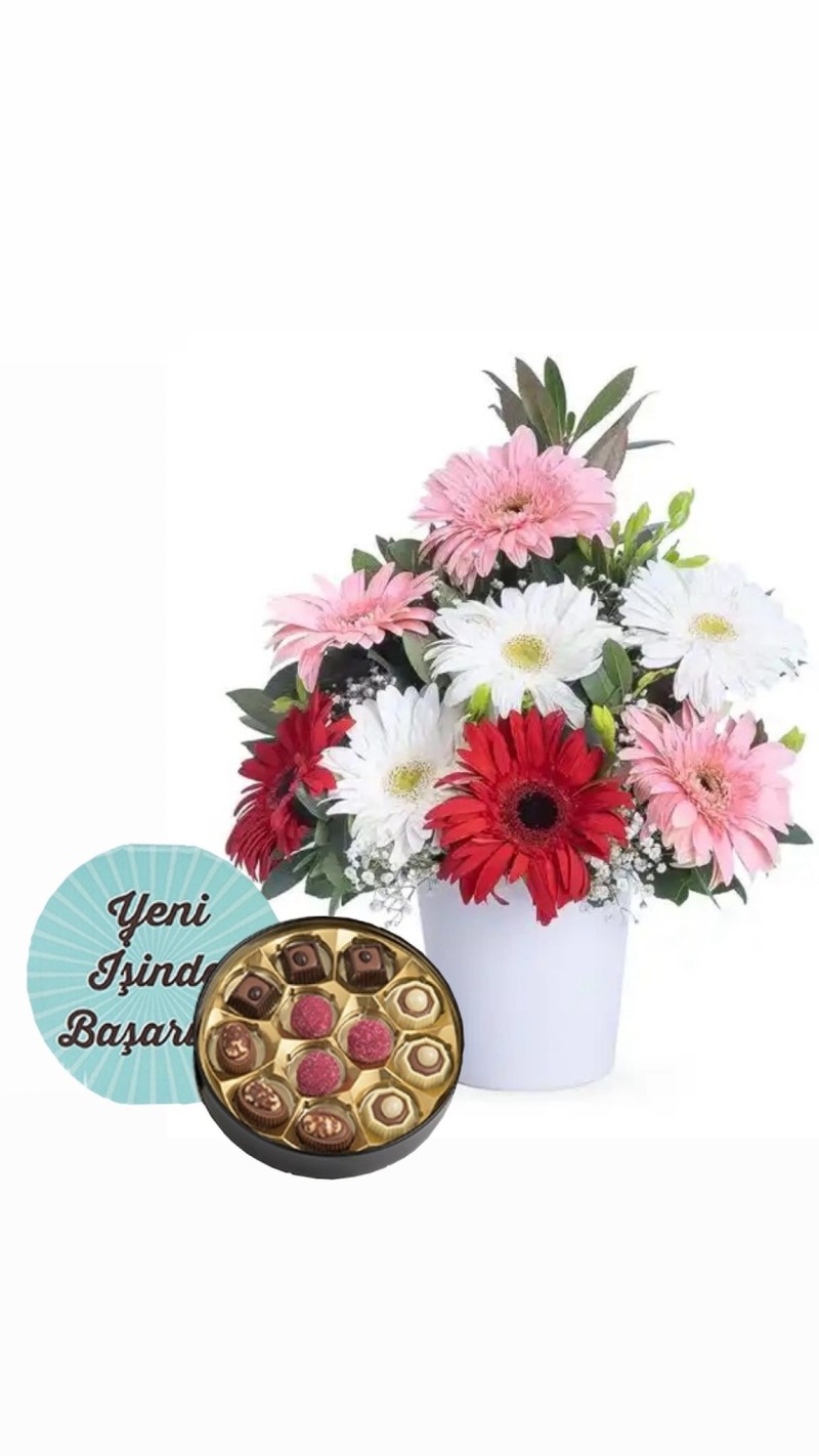 Yeni İşinde Başarılar Çikolata ve Renkli Gerberalar