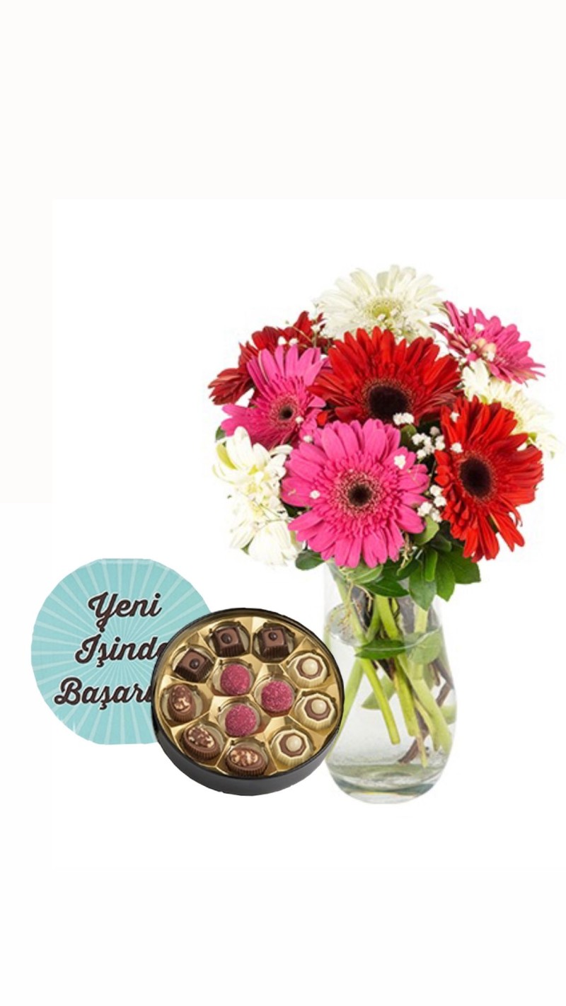 Kristal Vazoda Renkli Gerberalar