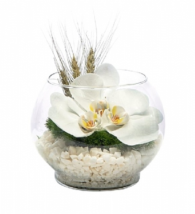 AKVARYUMDA ORKİDE TASARIMI