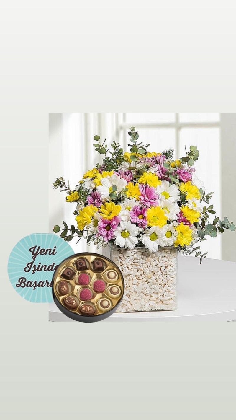 Renkli Papatyalar & Yeni İş Tebrikli Çikolata