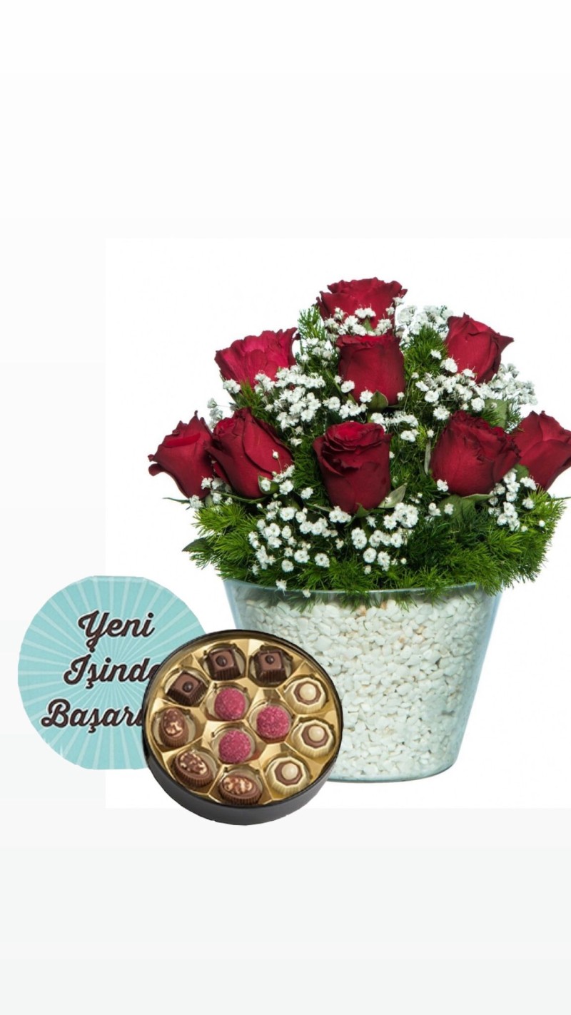  Vazoda Kırmızı Güller & Yeni İş Tebrikli Çikolata