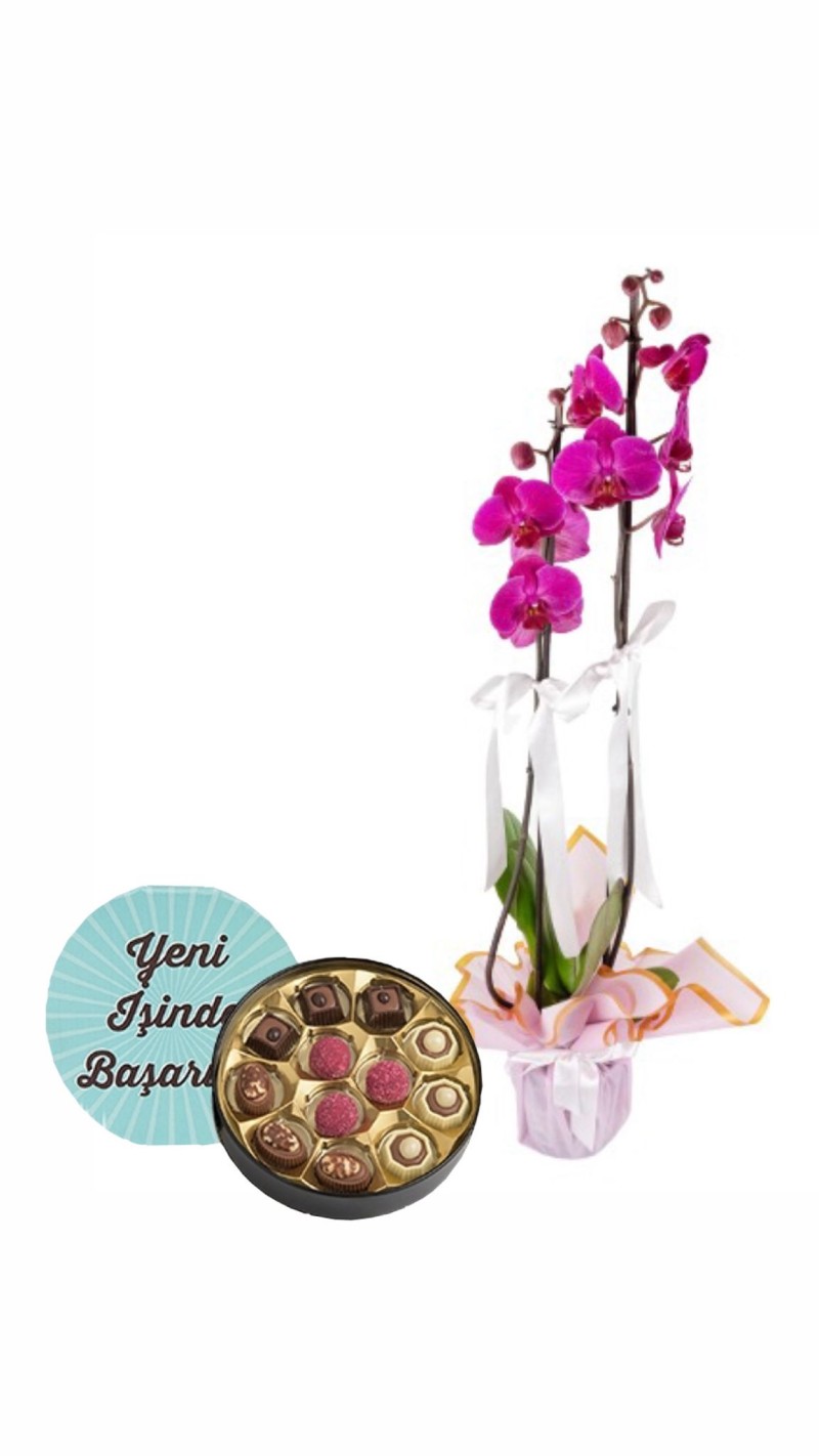 Mor Orkide & Yeni İş Tebrikli Çikolata