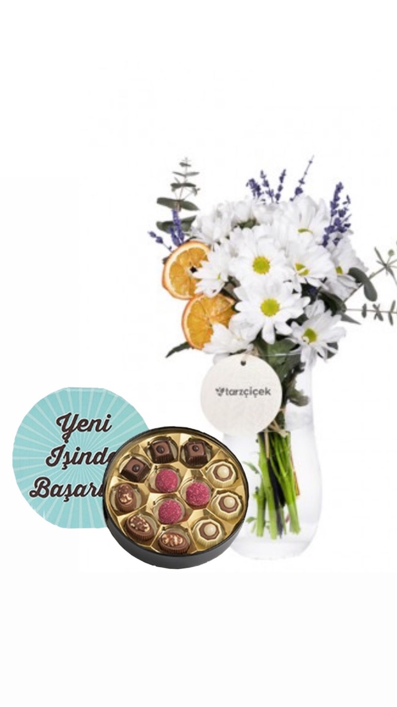 Papatyalar & Yeni İş Tebrikli Çikolata