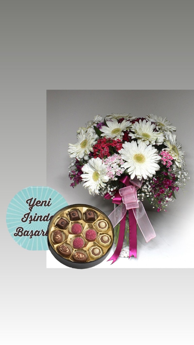 Beyaz Gerberalar ve Renkli Hüsnü Yusuflar & Yeni İş Tebrikli Çikolata