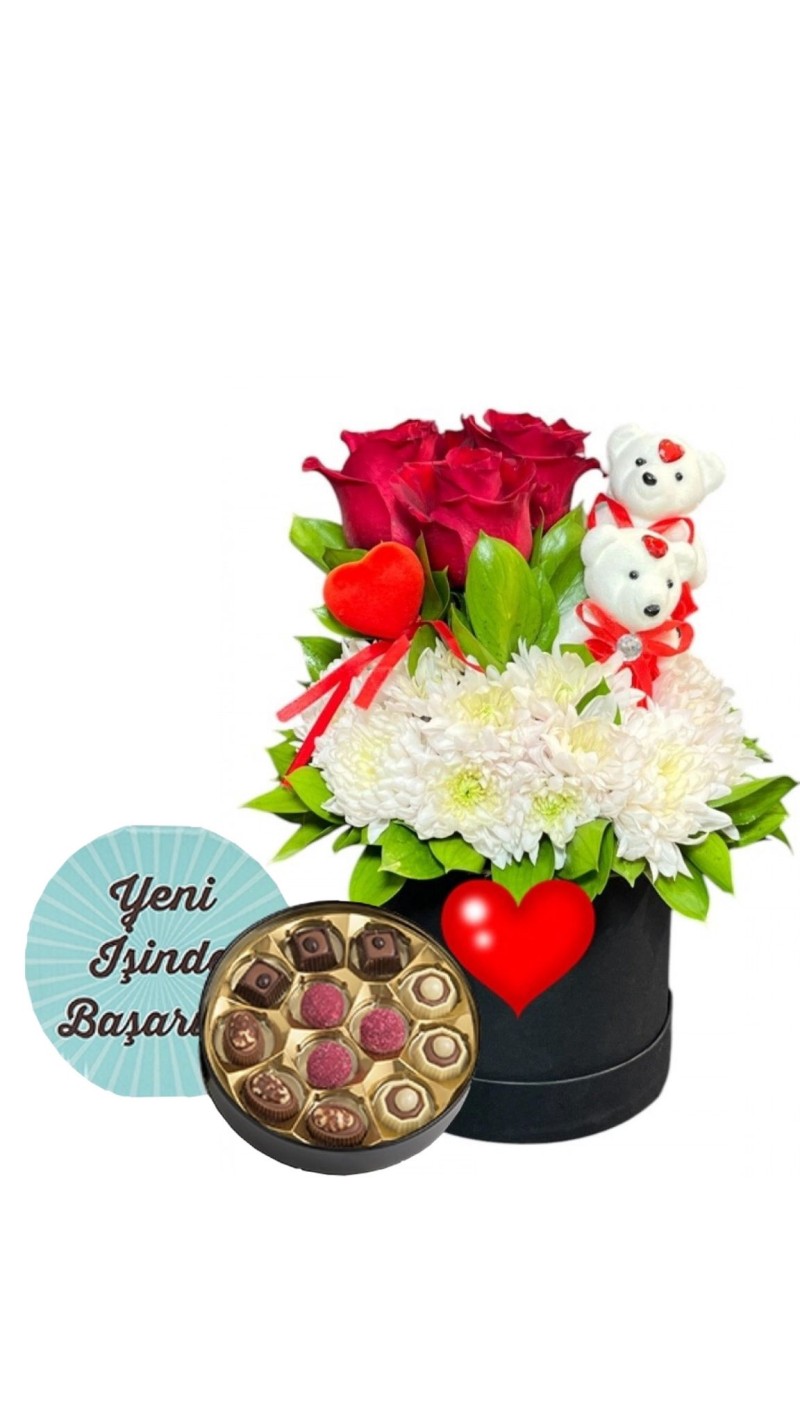 Kutuda Kırmızı Güller, Papatyalar ve Ayıcık & Yeni İş Tebrikli Çikolata