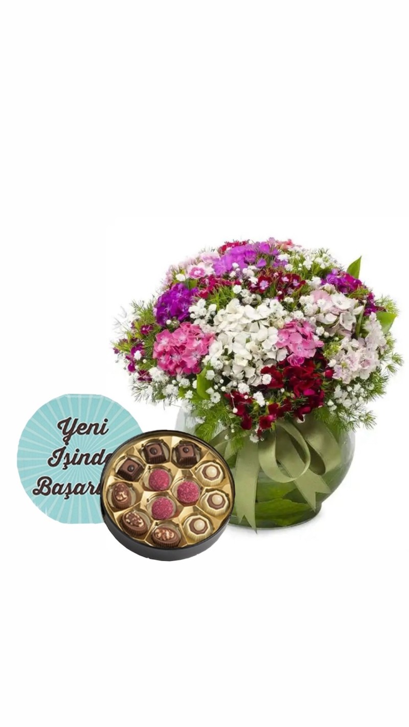 Vazoda Renkli Hüsnü Yusuflar & Yeni İş Tebrikli Çikolata