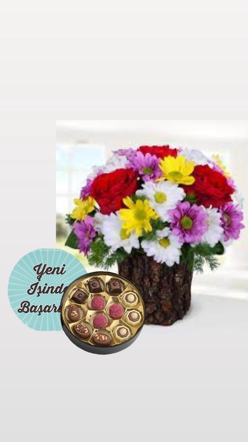 Odunda Renkli Papatyalar & Yeni İş Tebrikli Çikolata