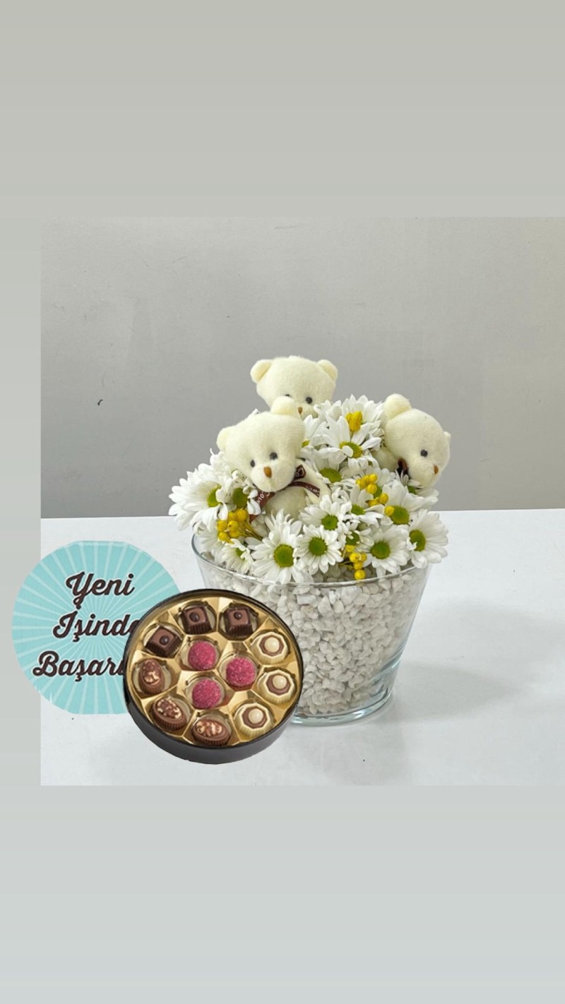 Vazoda Papatyalar ve Ayıcıklar & Yeni İş Tebrikli Çikolata