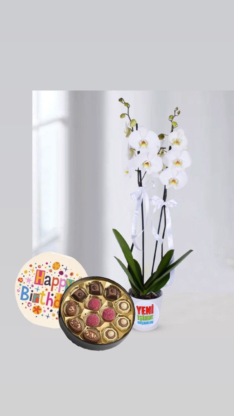 Beyaz Orkide & Doğum Günü Temalı Çikolata