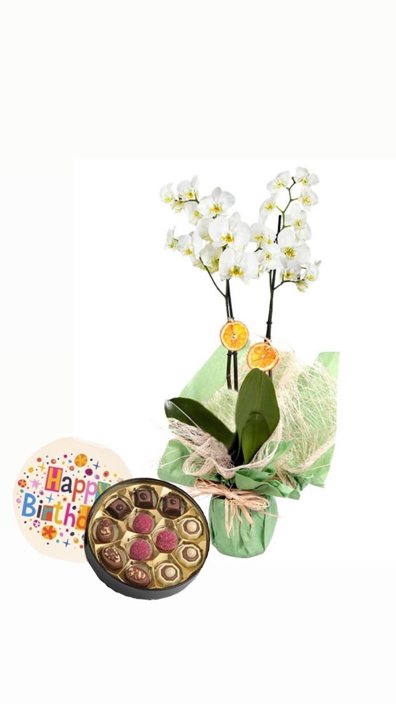 Orkide & Doğum Günü Temalı Çikolata