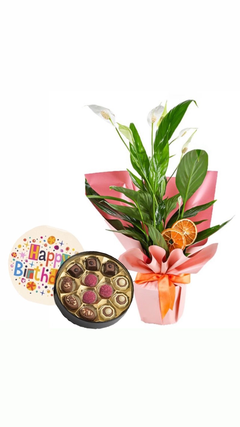 Spatfilyum ve Doğum Günü Temalı Çikolata