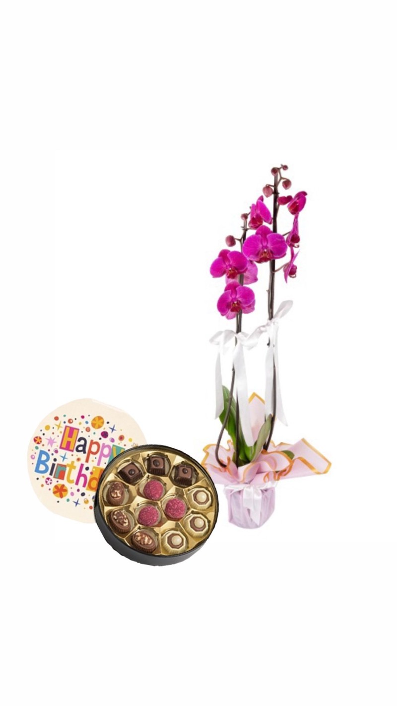 Pembe Orkide & Doğum Günü Temalı Çikolata