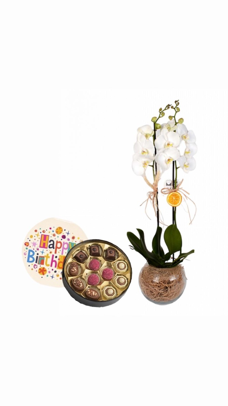 Fanusta Orkide & Doğum Günü Temalı Çikolata