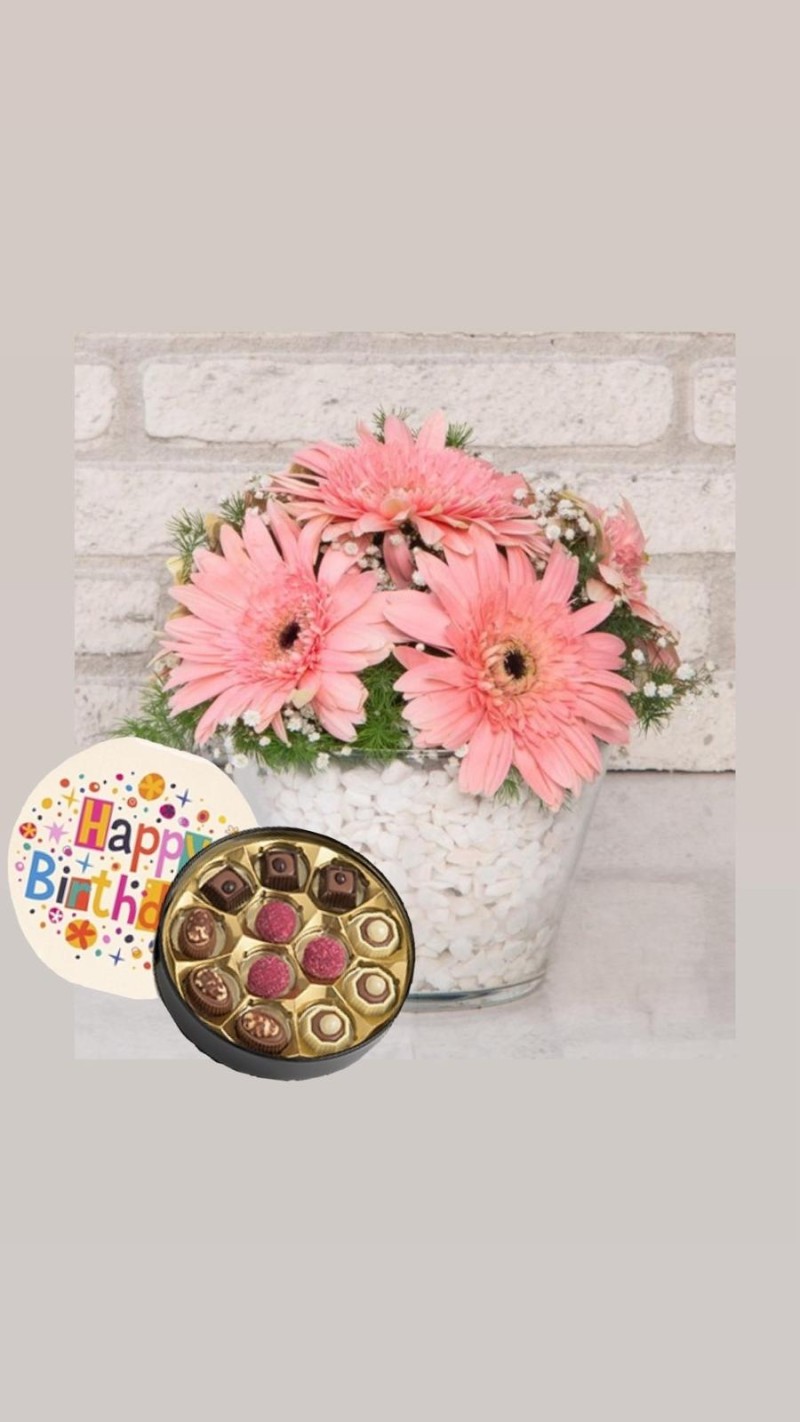 Vazoda Pembe Gerberalar & Doğum Günü Temalı Çikolata