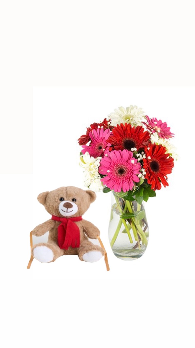 Vazoda Renkli Gerberalar & Peluş Ayı
