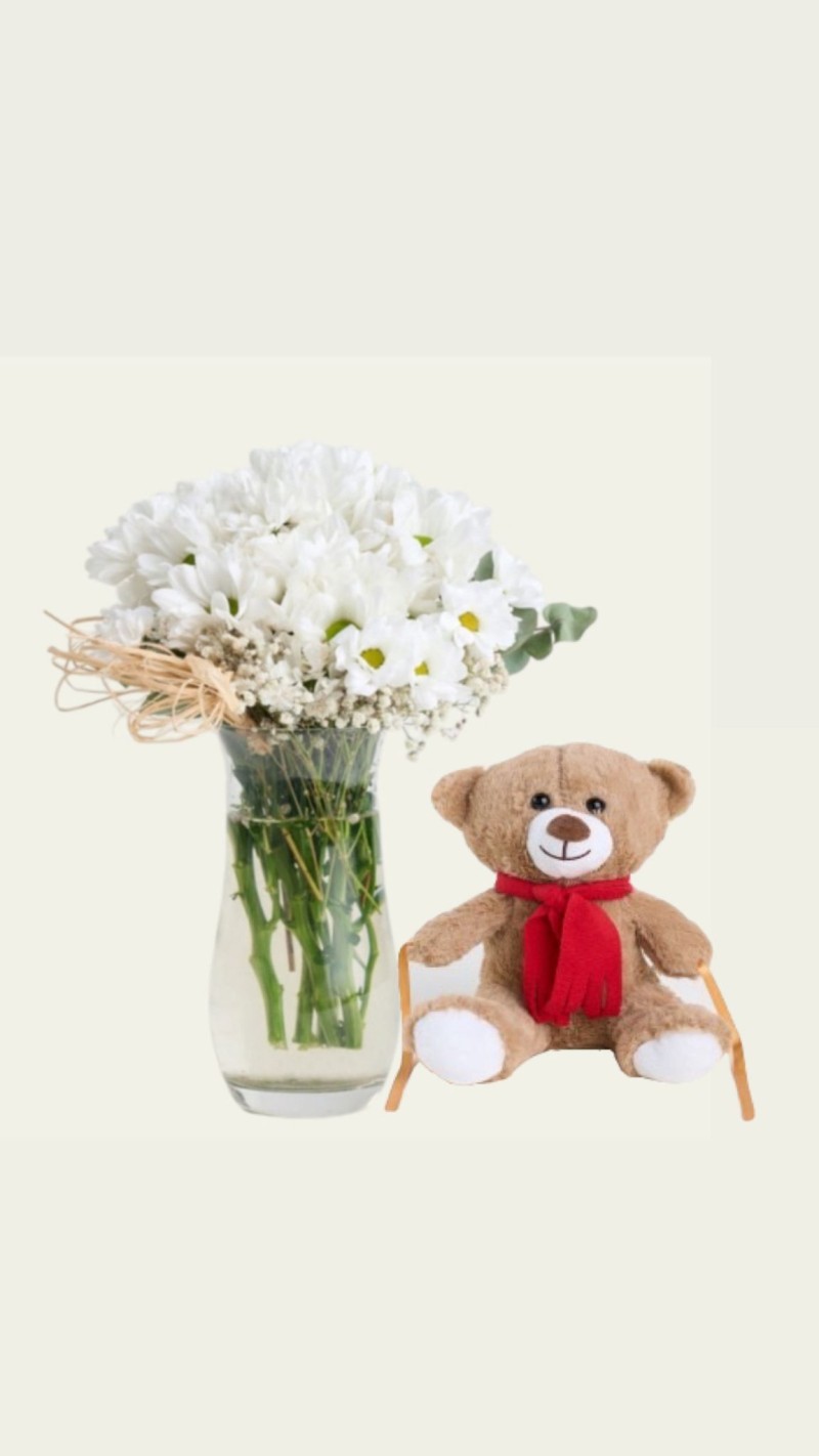 Vazoda Papatyalar & Peluş Ayı