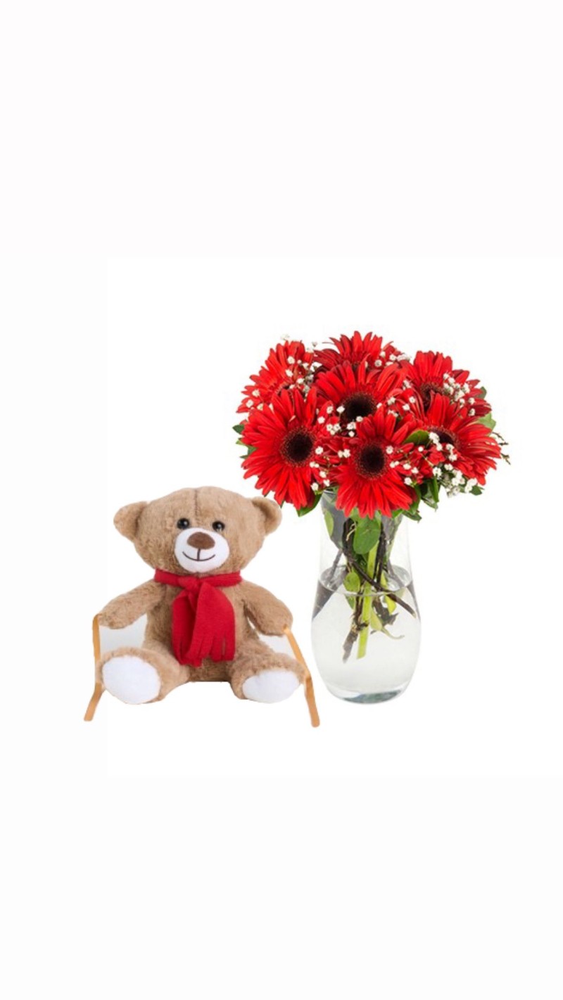 Vazoda Kırmızı Gerberalar & Peluş Ayı