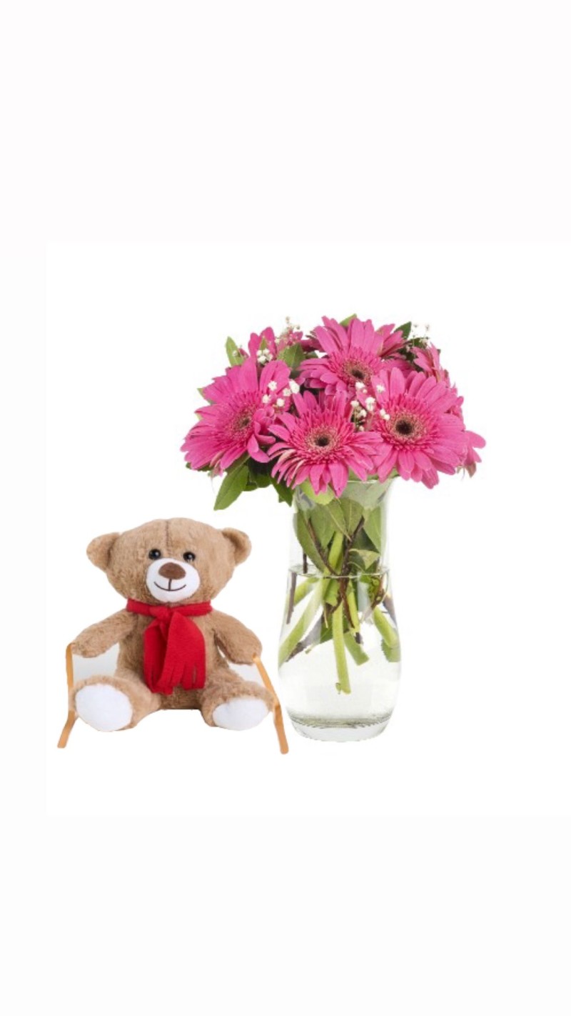 Vazoda Pembe Gerberalar & Peluş Ayı
