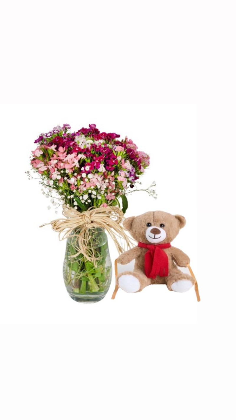 Vazoda Renkli Hüsnü Yusuflar & Peluş Ayı