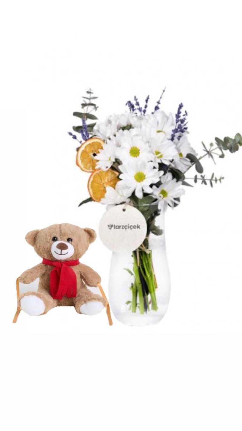Vazoda Papatyalar & Peluş Ayı