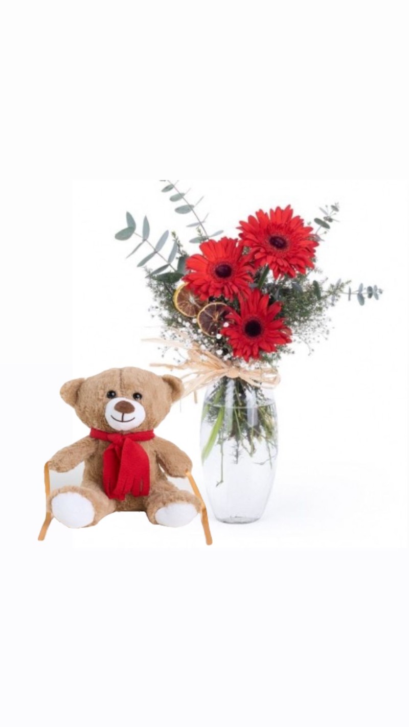 Vazoda Kırmızı Gerberalar & Peluş Ayı
