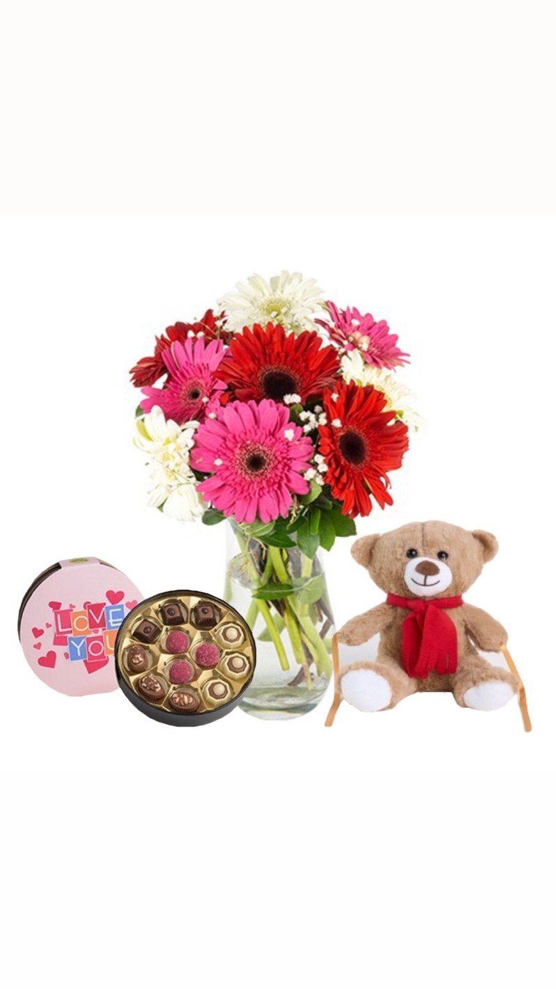 Vazoda Renkli Gerberalar & Peluş Ayı & Seni Seviyorum Çikolata