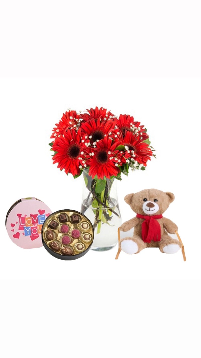 Vazoda Kırmızı Gerberalar & Peluş Ayı & Seni Seviyorum Temalı Çikolata
