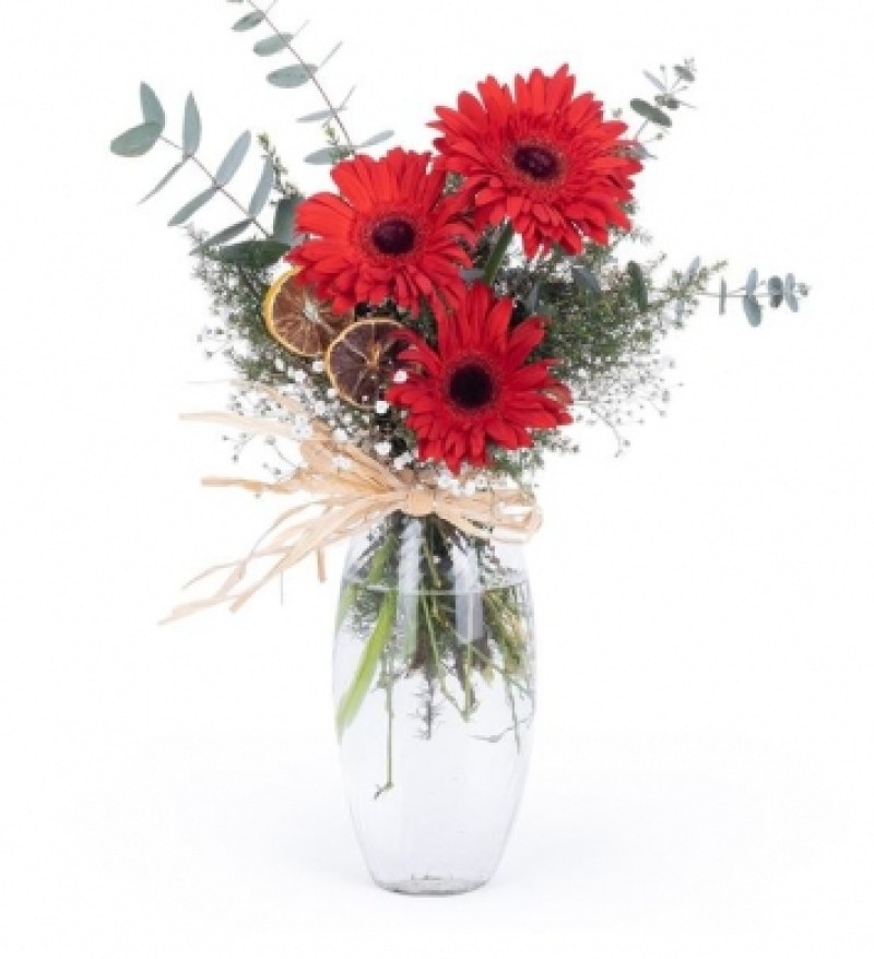 CAM VAZODA KIRMIZI GERBERA ARANJMANI