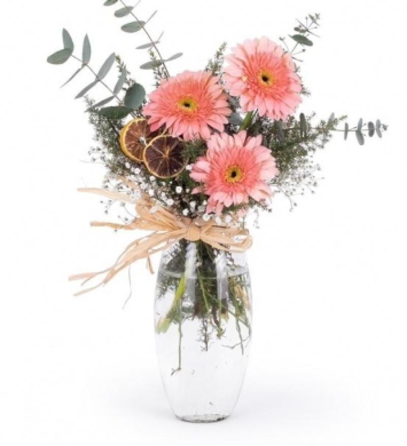 CAM VAZODA PEMBE GERBERA ARANJMANI