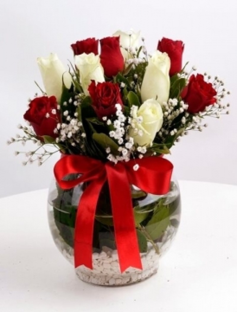 FANUSTA KIRMIZI VE BEYAZ GÜLLER